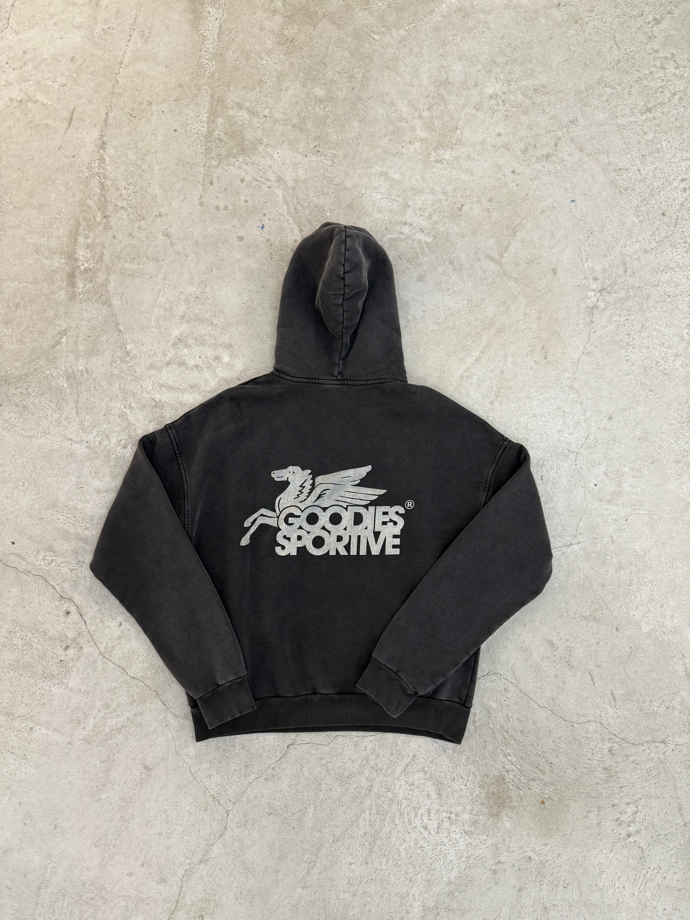 Pegasus Hoodie