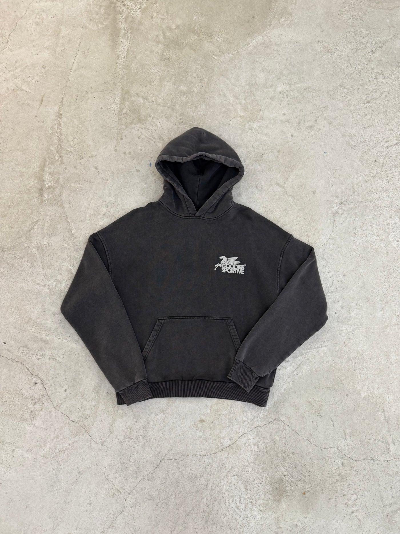 Pegasus Hoodie