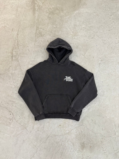 Pegasus Hoodie