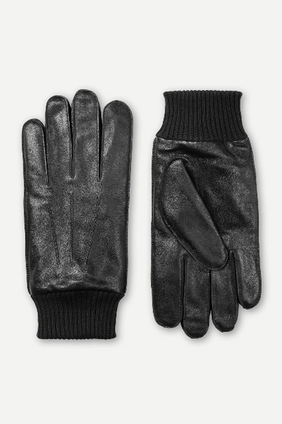 HACKNEY GLOVES 8168