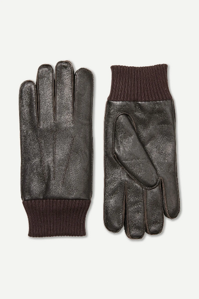 HACKNEY GLOVES 8168